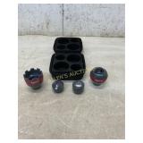 Companion Animal Empower Delivery System