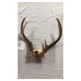 Antlers