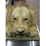 April Consignment On Line Only Auction # 1