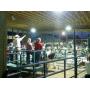 Berlin Fair 4H Livestock Auction