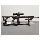 29. Palmatto State Armory Mod. PA-15 .223 auto w/v
