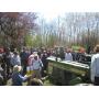 Considering an Auction?