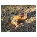 Cub Cadet Rear End with PTO