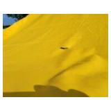 Canopy Cub Cadet