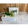 1/16 Scale Ertl John Deere Model A
