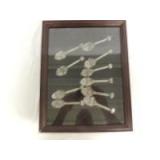 John Deere set of (10)-pewter spoons in hanging display case