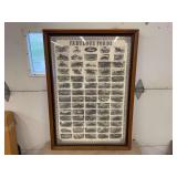 Fabulous Fords Illustration