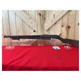 Daisy Model 25 Pump Action BB Gun .333