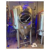 Ss Brewtech 304 Pro Unitank 5BBL