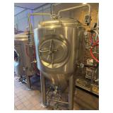 Ss Brewtech 304 Pro Unitank 5BBL