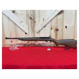 Glenfield Model 75 Semi-Automatic Rifle .22 LR