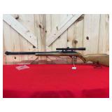 Glenfield Model 60 Semi-Automatic Rifle .22 LR