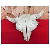 Bovine Skull Mount