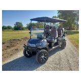 HQ100 6-Seat Electric Golf Cart