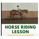 Horse riding Lesson