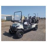 HQ100 Electric Golf Cart Utility Vehicle with 60V100AH Battery and 14-Inch Off-Road Tires - Assembled