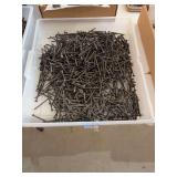 Large Quantity of Phillips Head Drywall Screws in Plastic Bin