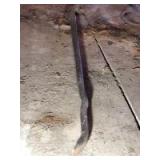 Railroad spike remover, Warwood 88