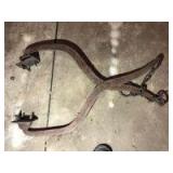 Ice tongs