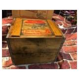 Pepsi Cola Record Case