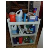 Shelf organizer Full of Laundry Supplies