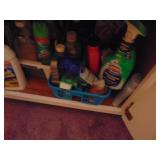 Cleaning products under cabinet