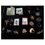 Large Lot of costume pins and brooches
