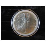 2001 1 oz. Silver Eagle