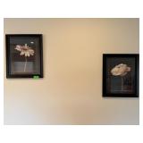 Framed Flower Prints - Floral Art
