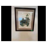 Maryrose Wampler Framed Trillium Art Print