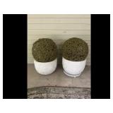 Pair Decorative Moss Ball Topiaries White Planters