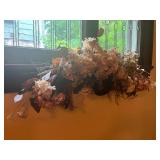 Dried Floral Arrangement Window Sill Beige