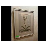 Henry G Moon Vintage Botanical Orchid Print