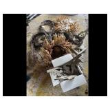 Mixed lot of Fall Harvest Decorations