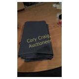 3 7ft x 41" Blue Curtains