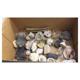 Group of misc. rocks, geodes, drift wood and more