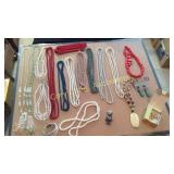 Lot of Costume Necklaces Front Room