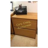 2 Drawer File Cabinet with file trays and folders