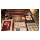 Group of Fighting Illini decor