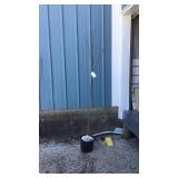 Autumn Blaze Maple Tree