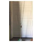 Honeycrips Apple Tree