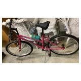 Schwinn Side Winder 24