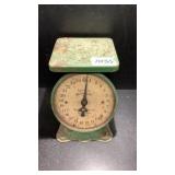 American Family Scale