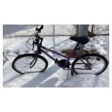 Free Spirit Bike