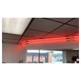 Red Neon Lights 5 Sections and Extra Tubing APPROX