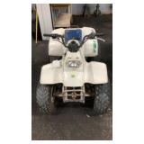 Kawasaki Electric Start BEEN SITTING