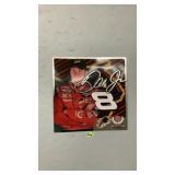 Dale Jr, Sign