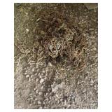 Pile Of Chains and Pieces