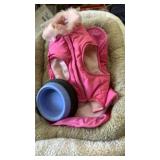 Box of pet bedding, kitchen storage, fall &