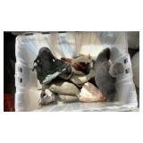 Tote of misc : mantatees, dolphins, sea shell,